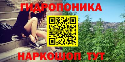 прущая мука Аша