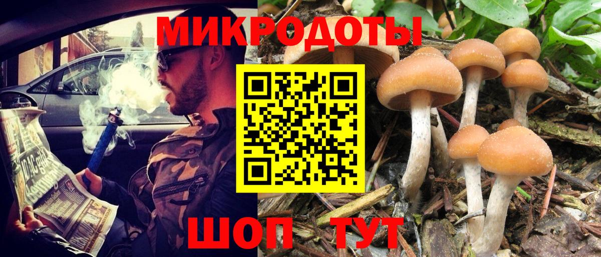 магазин    Вход с VPN  Белорецк  Галлюциногенные грибы Psilocybe  Галлюциногенные грибы мицелий 