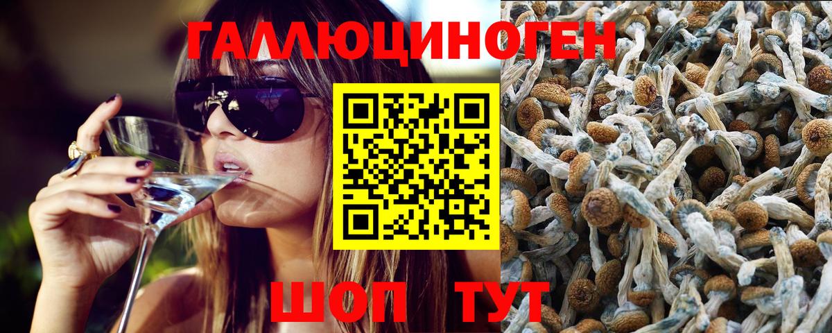 Галлюциногенные грибы ЛСД Белорецк